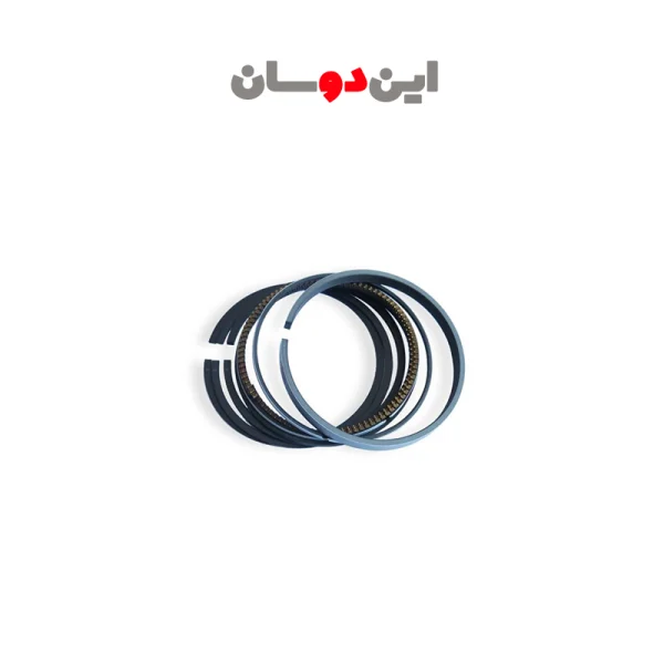 رینگ موتور کارا